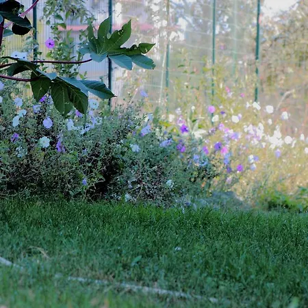 ゲストハウス Tangra