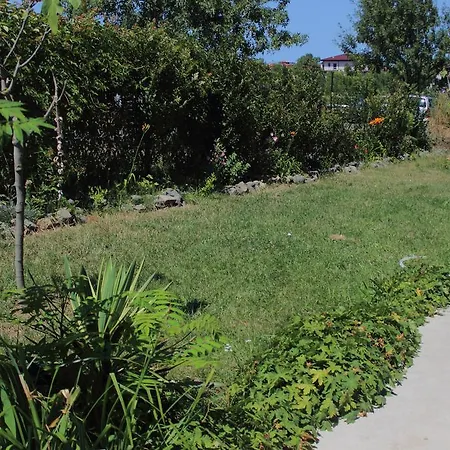 Tangra 3* アラピャ