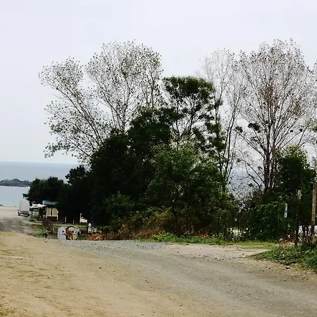 Tangra 3*